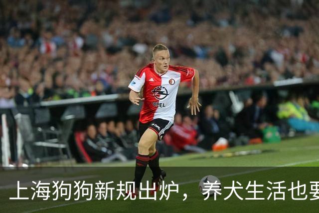 上海狗狗新规出炉，养犬生活也要有“规矩