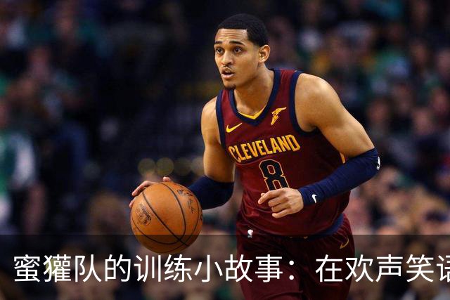 蜜獾队的训练小故事：在欢声笑语中拼搏成长